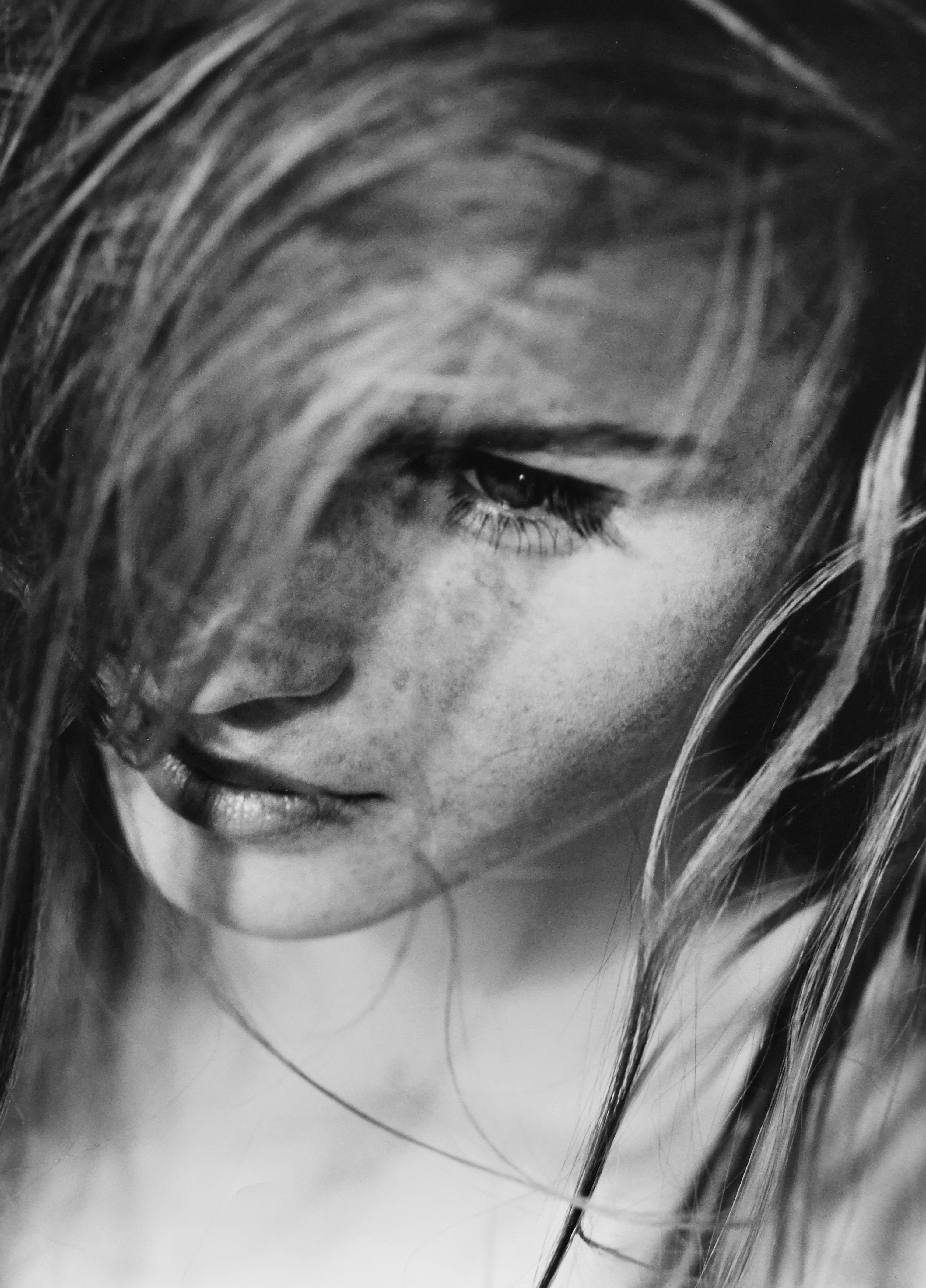 Photo 50